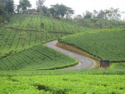 Coimbatore- Athirappalli Falls-Valparai-Coimbatore