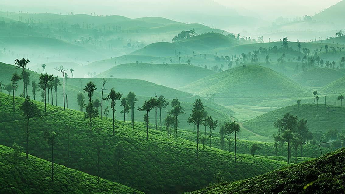 Coimbatore-Valparai-Coimbatore